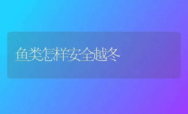 鱼类怎样安全越冬 | 淡水养殖