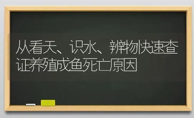 从看天、识水、辨物快速查证养殖成鱼死亡原因 | 淡水养殖