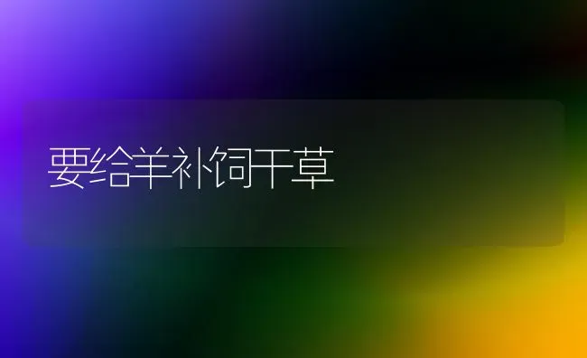 要给羊补饲干草 | 家畜养殖