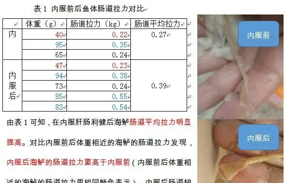 肝肠利健-头批海鲈鱼养殖的好帮手