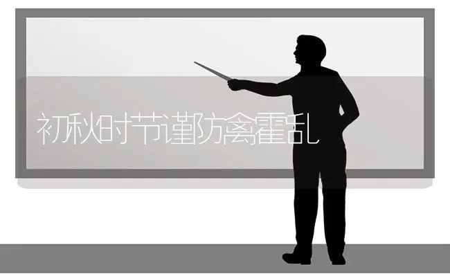 初秋时节谨防禽霍乱 | 家禽养殖