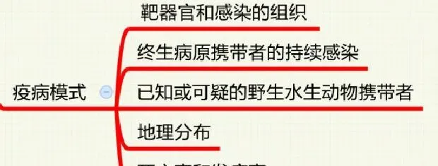 鱼病知识——传染性皮下及造血器官坏死