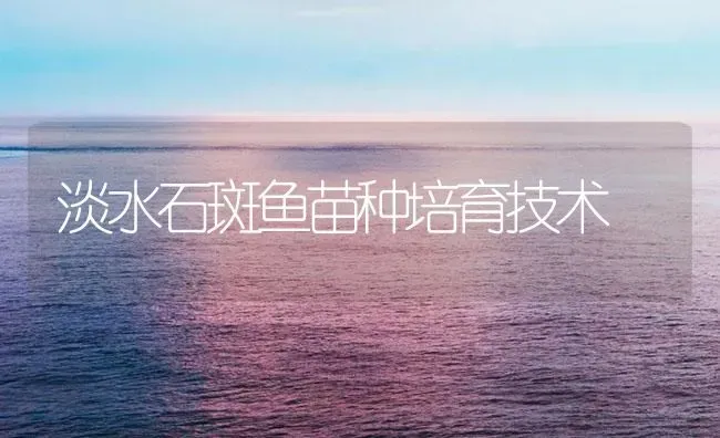 淡水石斑鱼苗种培育技术 | 海水养殖