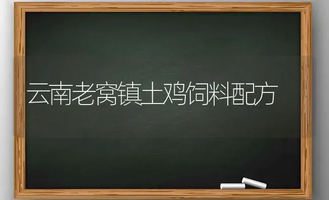 云南老窝镇土鸡饲料配方 | 家禽养殖