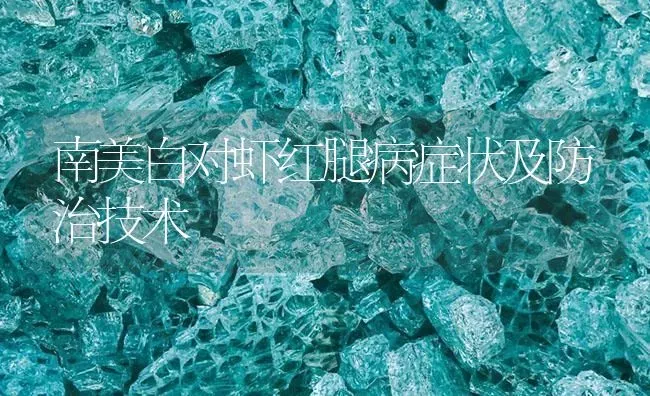 南美白对虾红腿病症状及防治技术 | 海水养殖