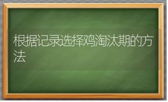 根据记录选择鸡淘汰期的方法 | 家禽养殖