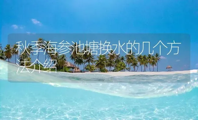 秋季海参池塘换水的几个方法介绍 | 海水养殖