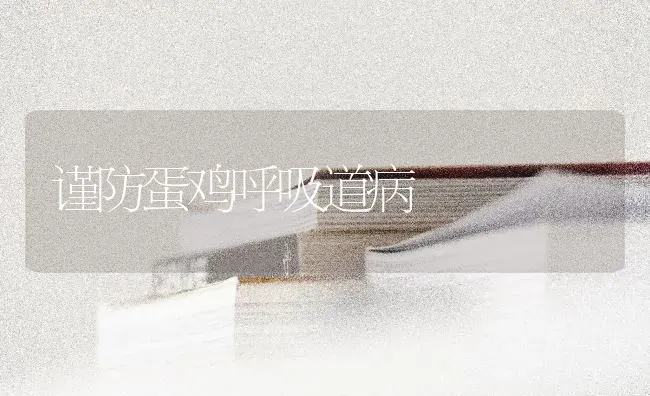 谨防蛋鸡呼吸道病 | 家禽养殖