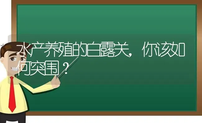 水产养殖的白露关，你该如何突围？ | 动物养殖百科