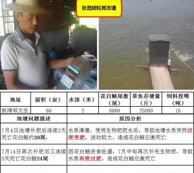 海联科3102：高温期水质稳定的法宝