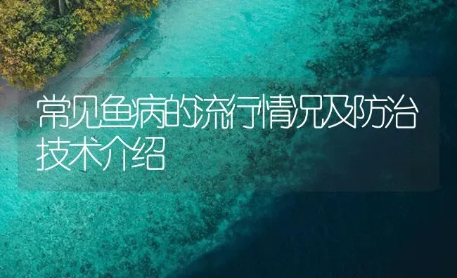 常见鱼病的流行情况及防治技术介绍 | 养殖病虫害防治