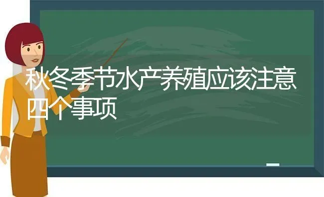 秋冬季节水产养殖应该注意四个事项 | 动物养殖百科