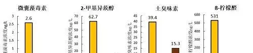 养鱼先养水！巧用、活用、善用酵母发酵碳源，提升水质调控效果，让您增产又增收！