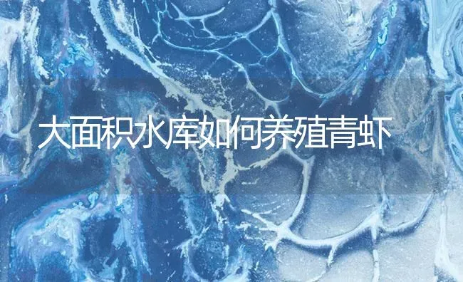 大面积水库如何养殖青虾 | 海水养殖