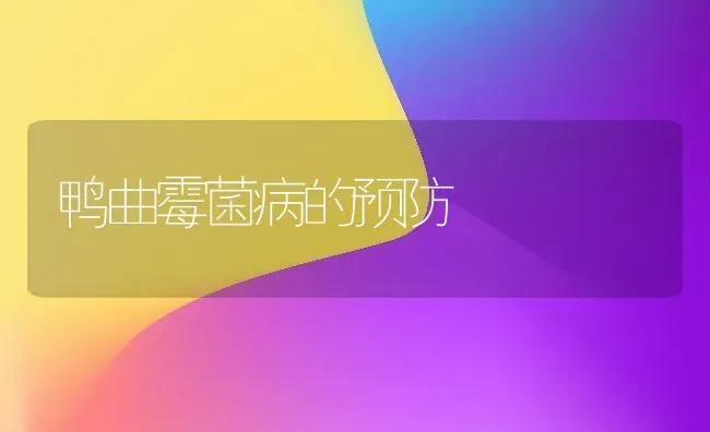 鸭曲霉菌病的预防 | 家禽养殖