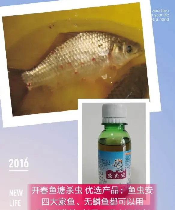 开春谈杀虫：不管有没有虫，都要全力杀虫？这是很大的误区！