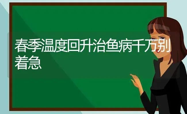 春季温度回升治鱼病千万别着急 | 淡水养殖