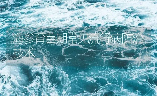 海参育苗期常见流行病防治技术 | 海水养殖