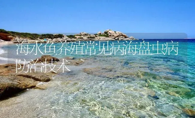 海水鱼养殖常见病海盘虫病防治技术 | 养殖病虫害防治