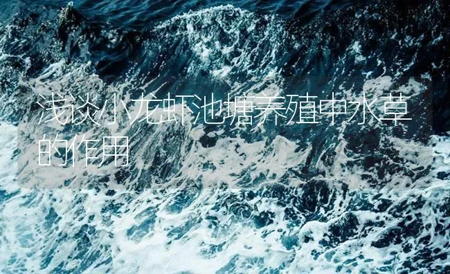 浅谈小龙虾池塘养殖中水草的作用 | 海水养殖