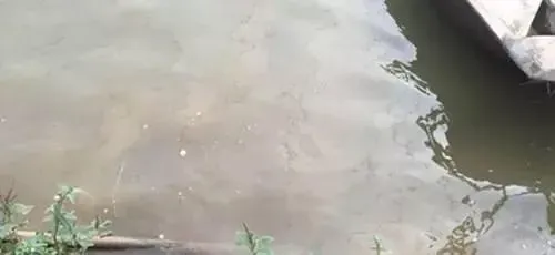 尾水冬棚虾养殖要注意回南天和阴雨天