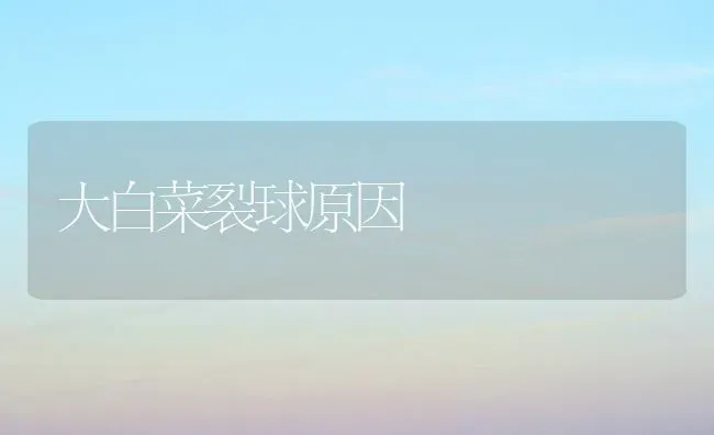 巧治家畜冻疮 | 家畜养殖