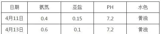 二氧化氯+底倍康强效改底，鱼儿吃料好！