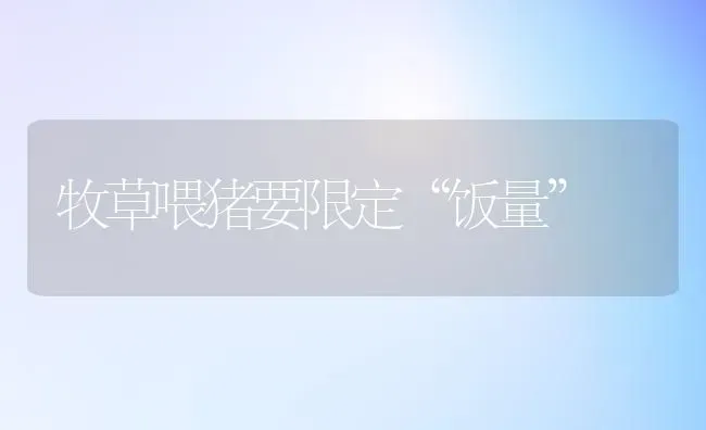 鸡不合理喂维生素的危害 | 家禽养殖