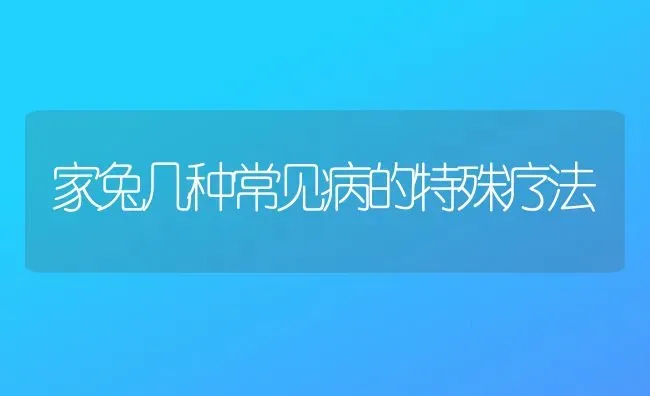 家兔几种常见病的特殊疗法 | 家畜养殖