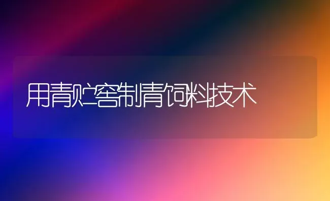 用青贮窖制青饲料技术 | 动物养殖饲料