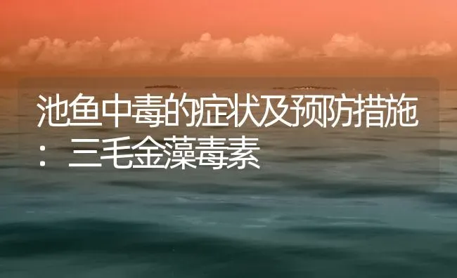 池鱼中毒的症状及预防措施:三毛金藻毒素 | 养殖病虫害防治