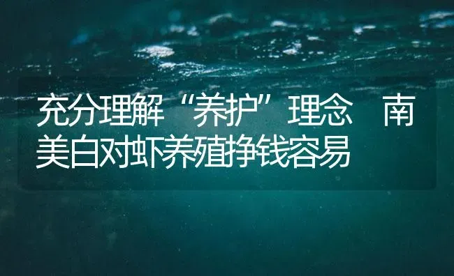 充分理解“养护”理念 南美白对虾养殖挣钱容易 | 海水养殖