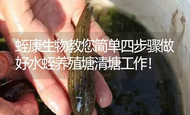 蛭康生物教您简单四步骤做好水蛭养殖塘清塘工作！ | 特种养殖