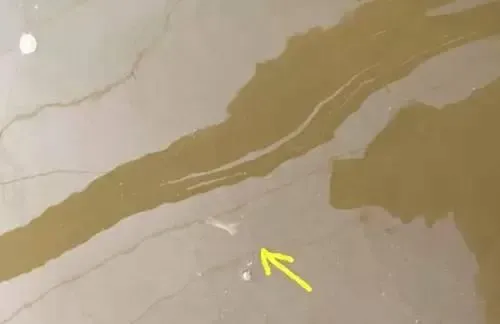 尾水冬棚虾养殖要注意回南天和阴雨天