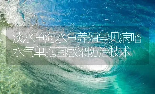 淡水鱼海水鱼养殖常见病嗜水气单胞菌感染防治技术 | 养殖病虫害防治