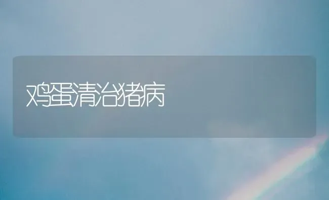 鸡蛋清治猪病 | 家畜养殖