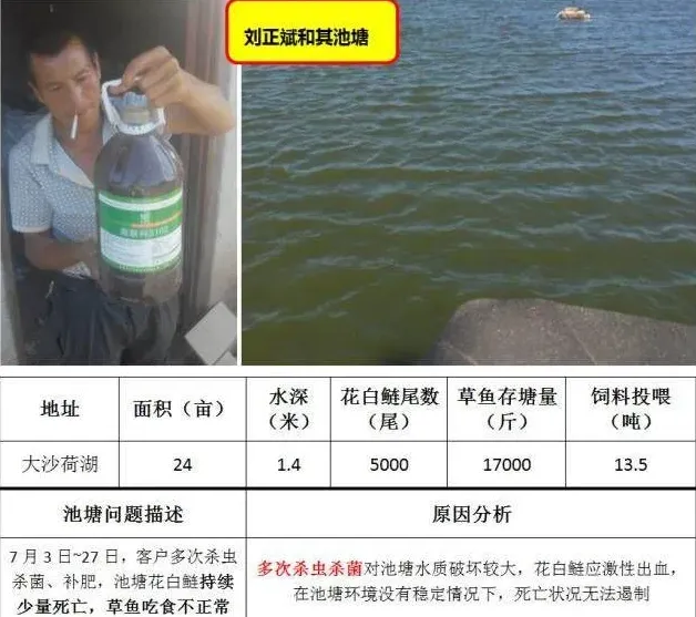 海联科3102：高温期水质稳定的法宝