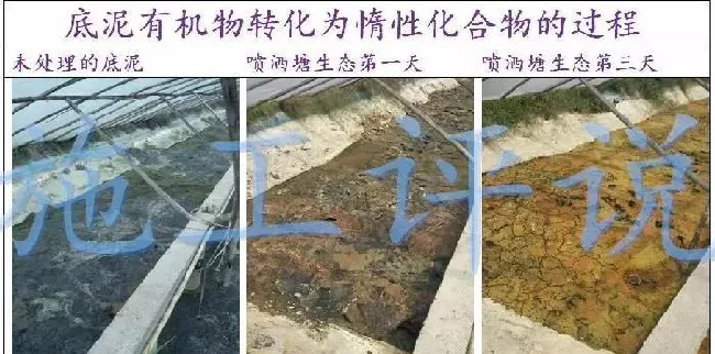 池塘底改是个很高深的问题吗？养殖户朋友能不能简单地底改？