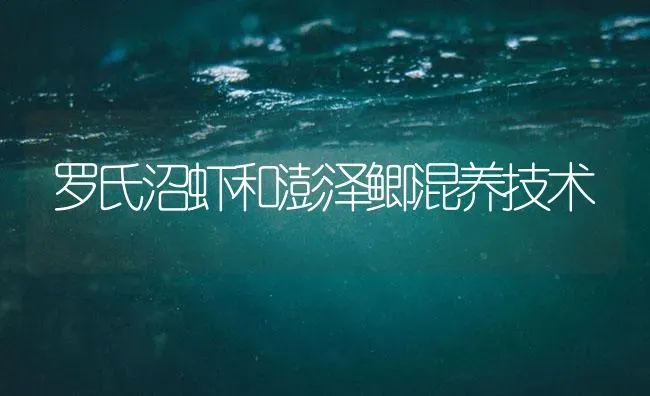 罗氏沼虾和澎泽鲫混养技术 | 海水养殖