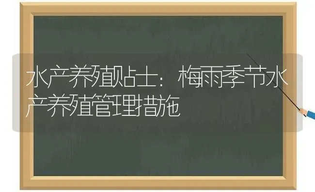 水产养殖贴士：梅雨季节水产养殖管理措施 | 动物养殖百科