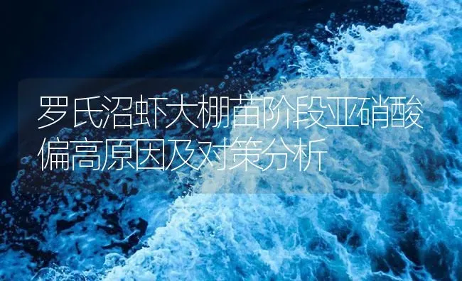 罗氏沼虾大棚苗阶段亚硝酸偏高原因及对策分析 | 海水养殖