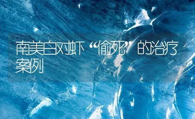 南美白对虾“偷死”的治疗案例 | 海水养殖