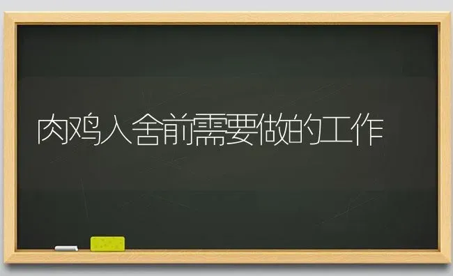 肉鸡入舍前需要做的工作 | 家禽养殖