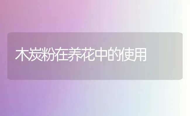 春季养猪要注意消毒 | 家畜养殖