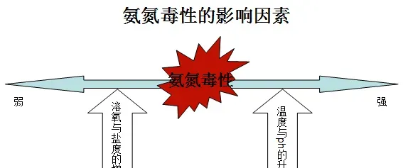 氨氮这个指标好弄却经常反弹，控制不好的话，鱼虾蟹养殖如履薄冰