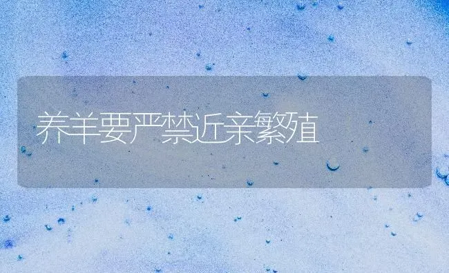 养羊要严禁近亲繁殖 | 家畜养殖