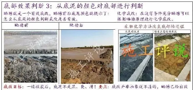池塘底改是个很高深的问题吗？养殖户朋友能不能简单地底改？