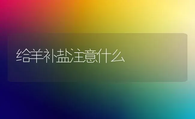 给羊补盐注意什么 | 家畜养殖