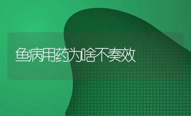 鱼病用药为啥不奏效 | 养殖病虫害防治