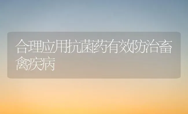 合理应用抗菌药有效防治畜禽疾病 | 养殖病虫害防治